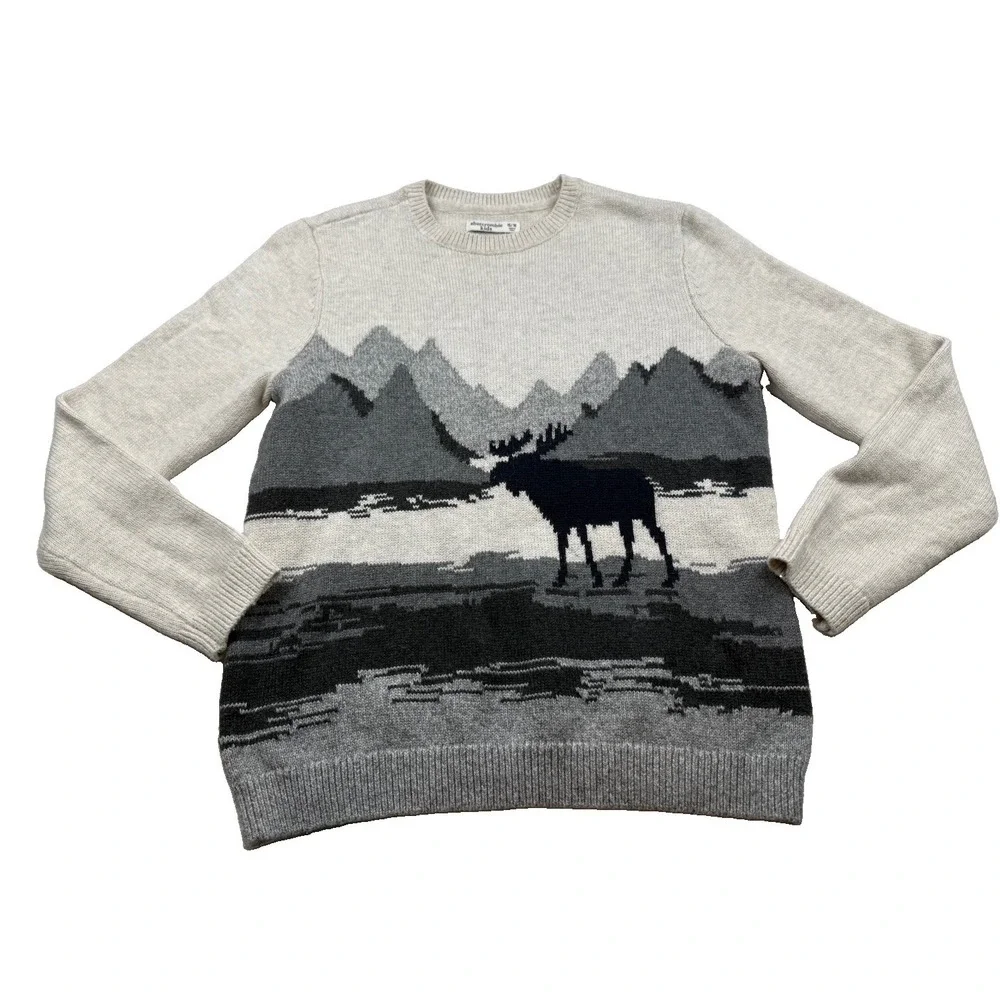 Abercrombie Kids Moose Mountain Landscape Graphic Knit Sweater Size 15/16